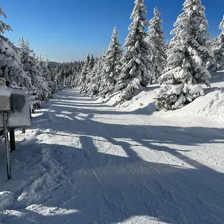 M10 Lägenhet *